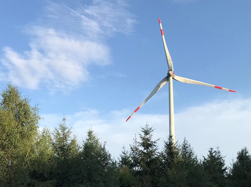 Heidelberg stimmt über Windkraft am Lammerskopf ab – was ihr wissen müsst