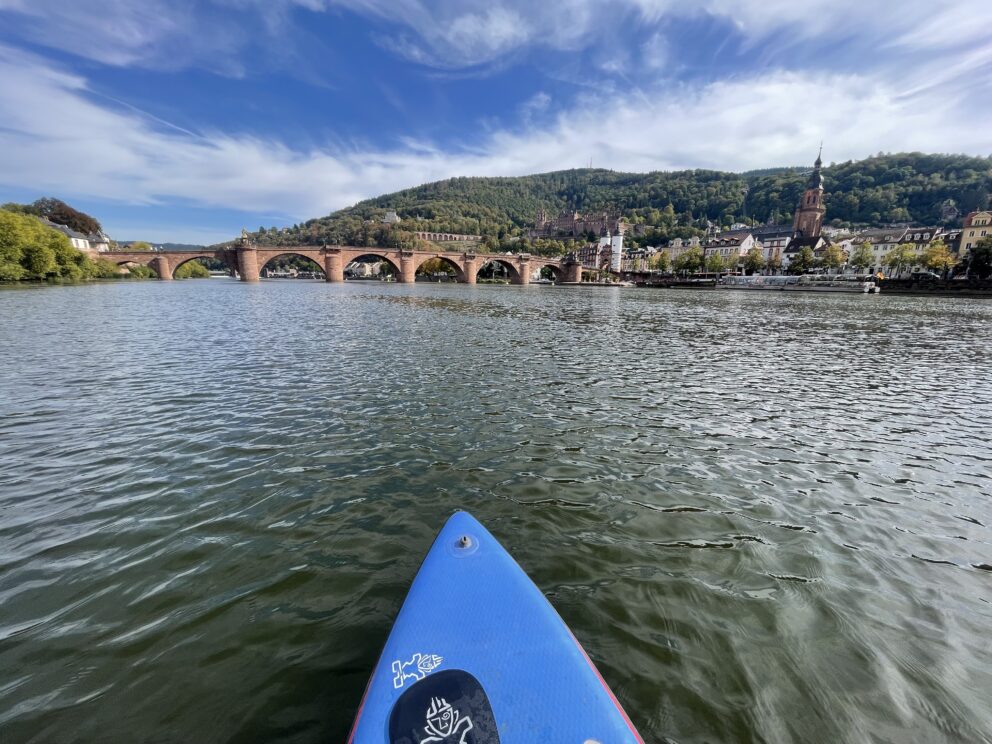 Herbsthitze am Neckar: Was sie für Heidelberg bedeutet
